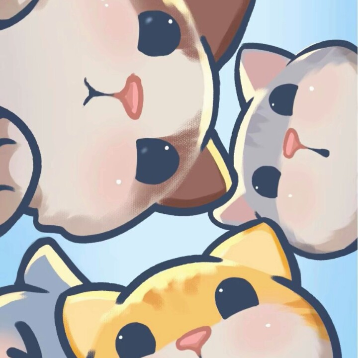 我的专辑