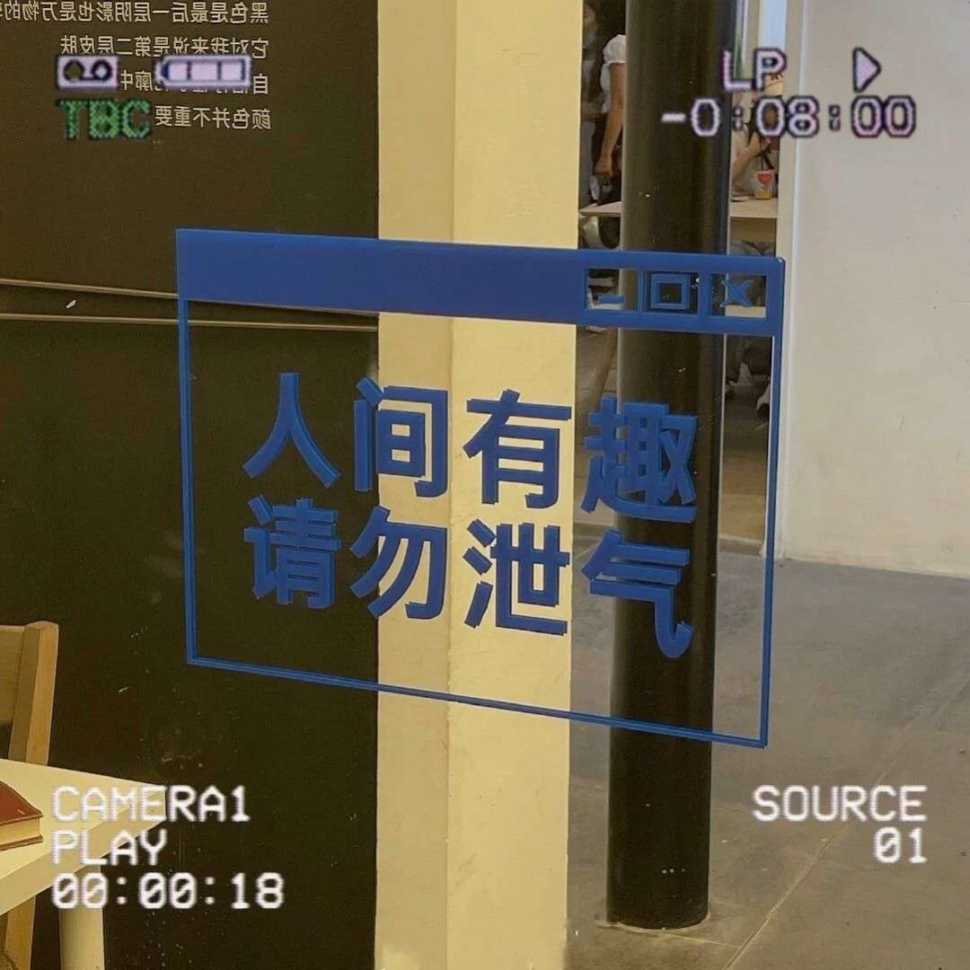 一只揪