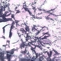 愿夏安的专辑