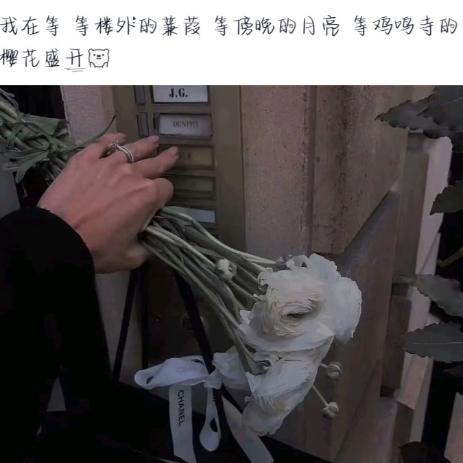 ヅ