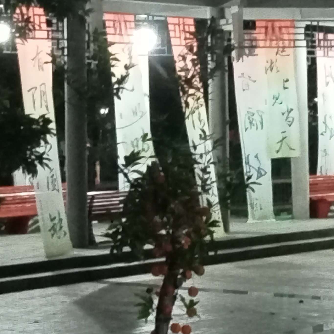 诗