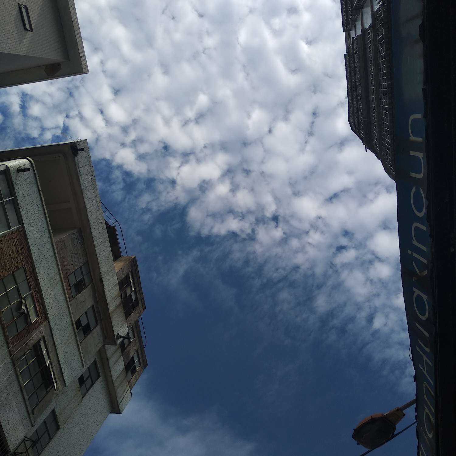 积极可爱