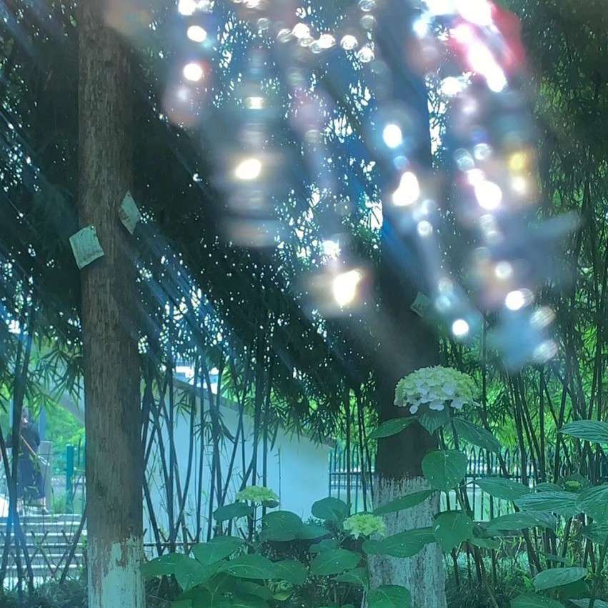 Moonlight.🌙的专辑