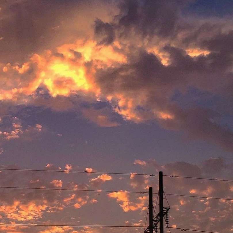 缘尽