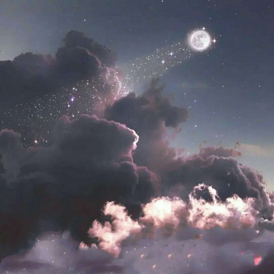 小说专辑
