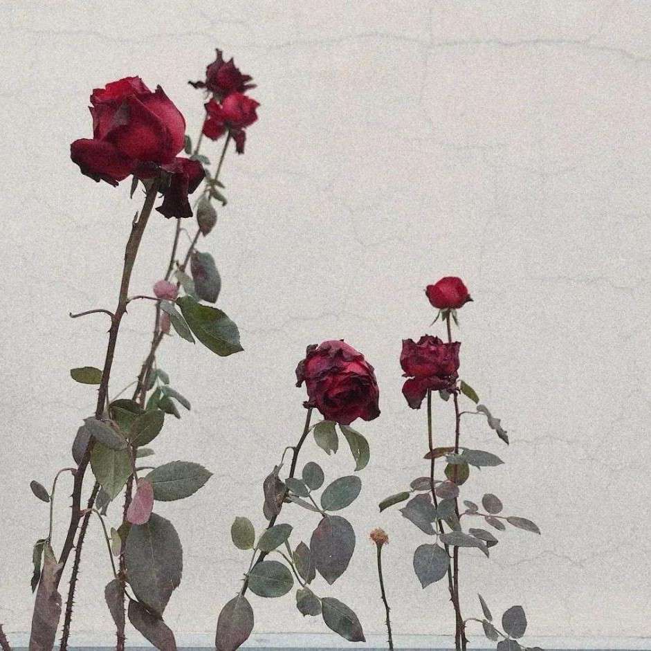♡