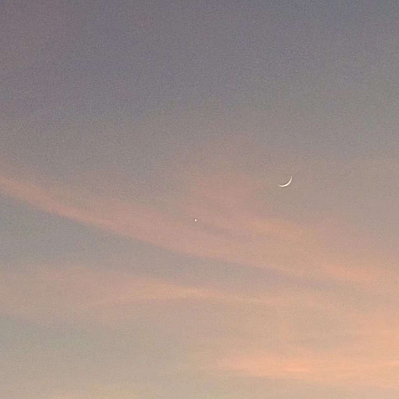 🌙
