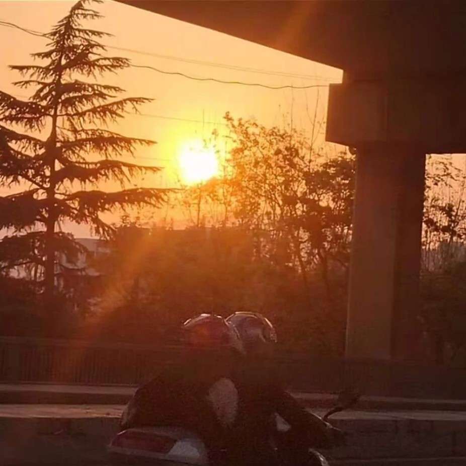 张嘉佳