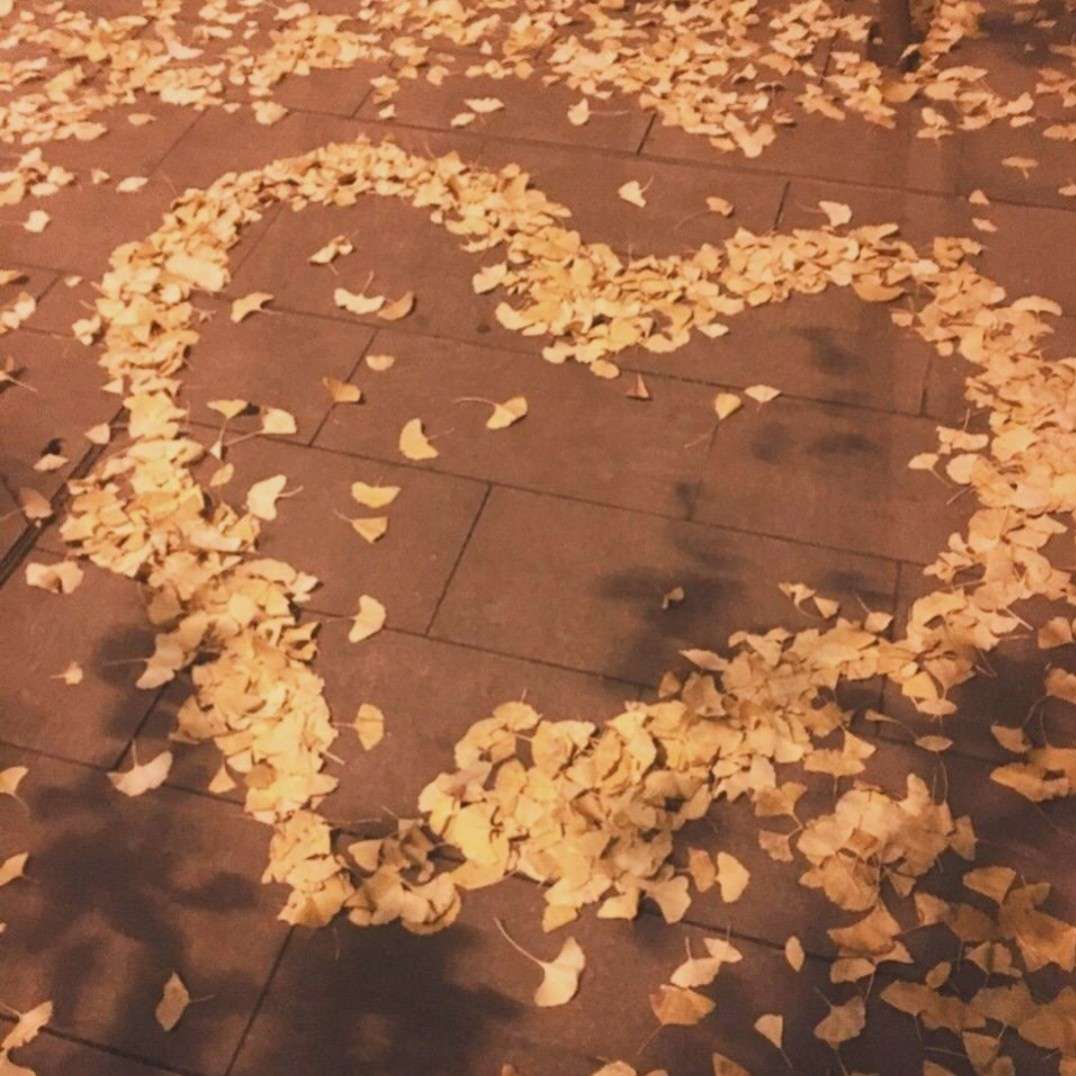 极度虹光