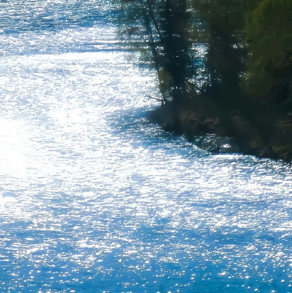 🌊