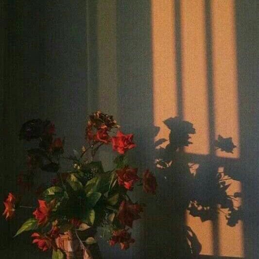 生命的底色