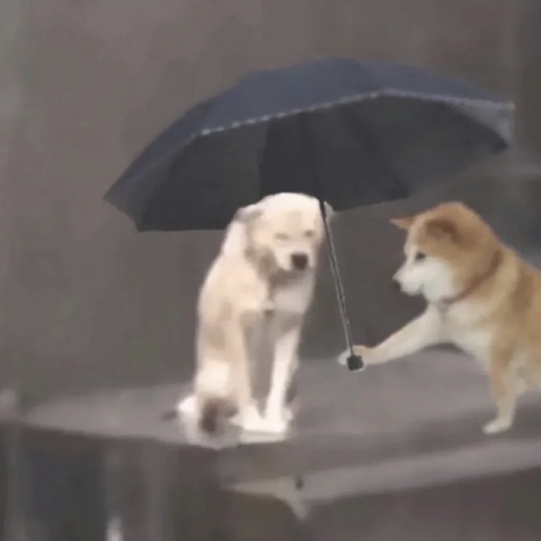 人间清醒