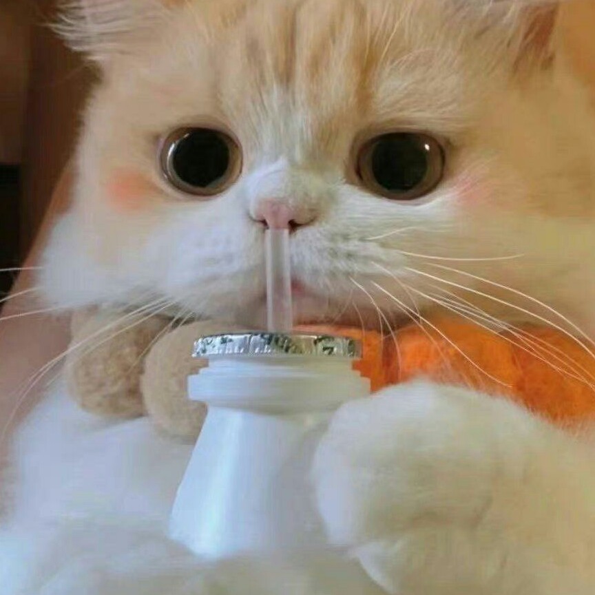 二开开的专辑