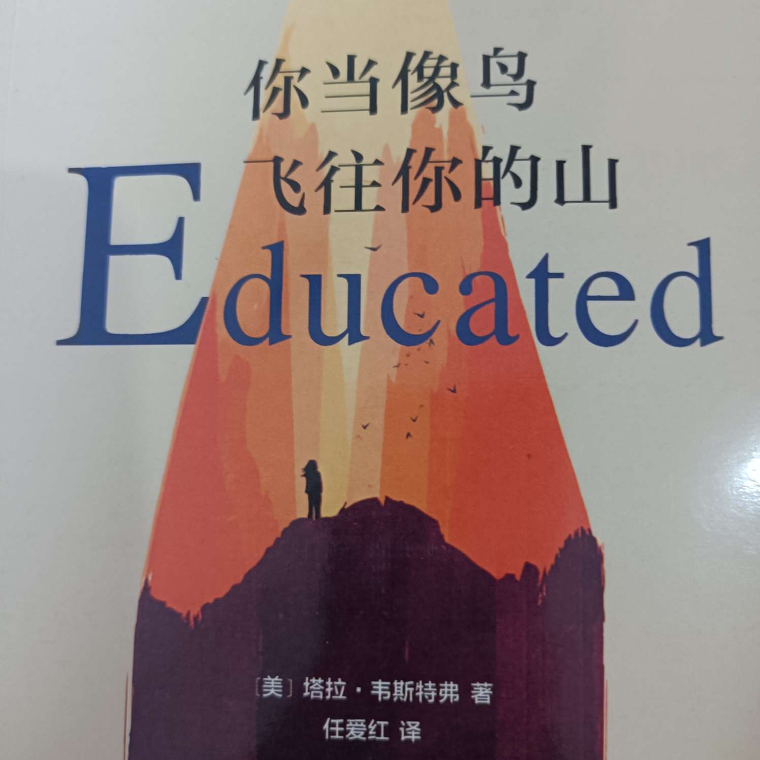 《你当像鸟飞往你的山》