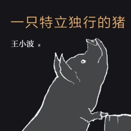 《一只特立独行的猪》摘抄