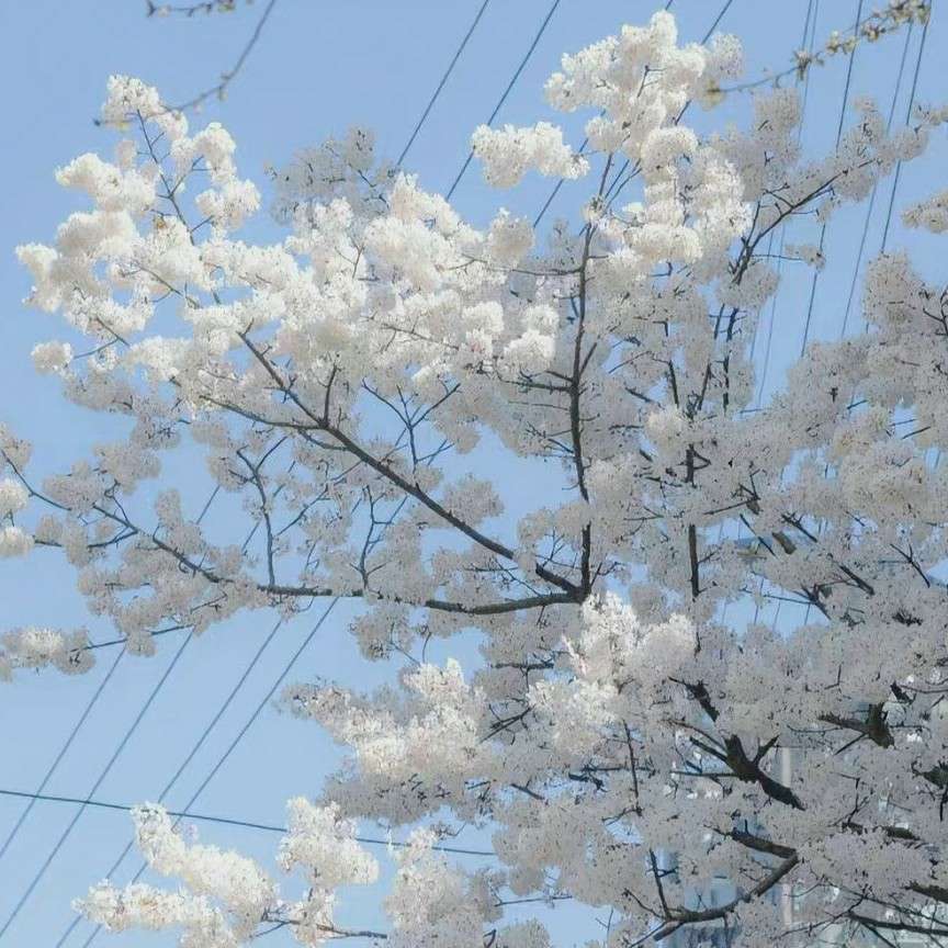 故里