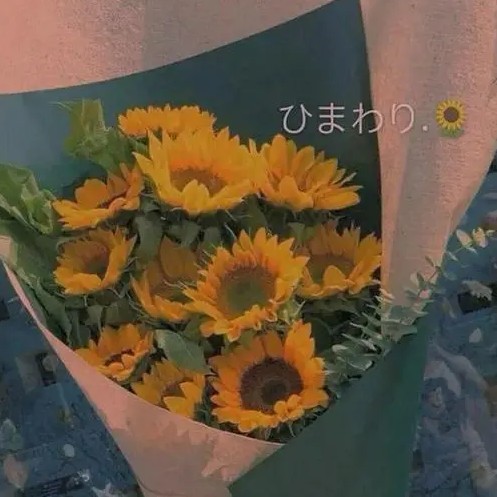 生日快乐鸭