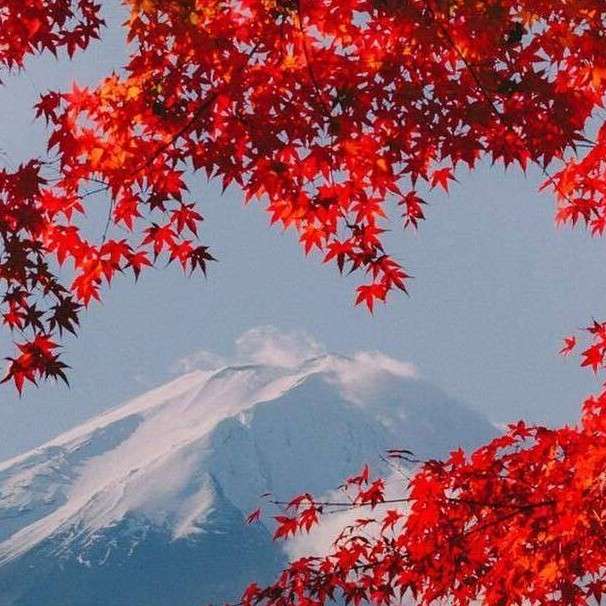 天光