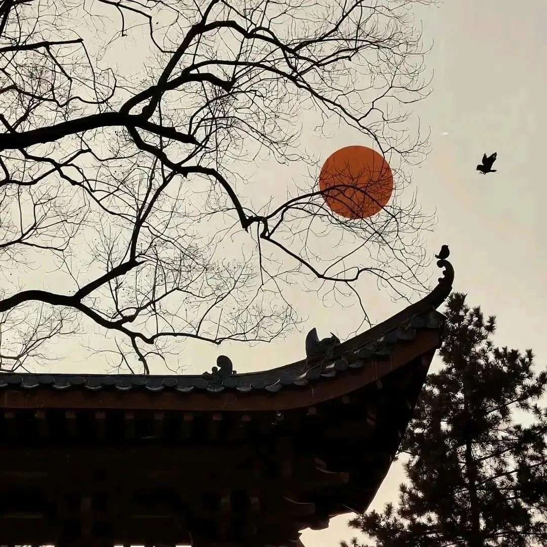 朴竹