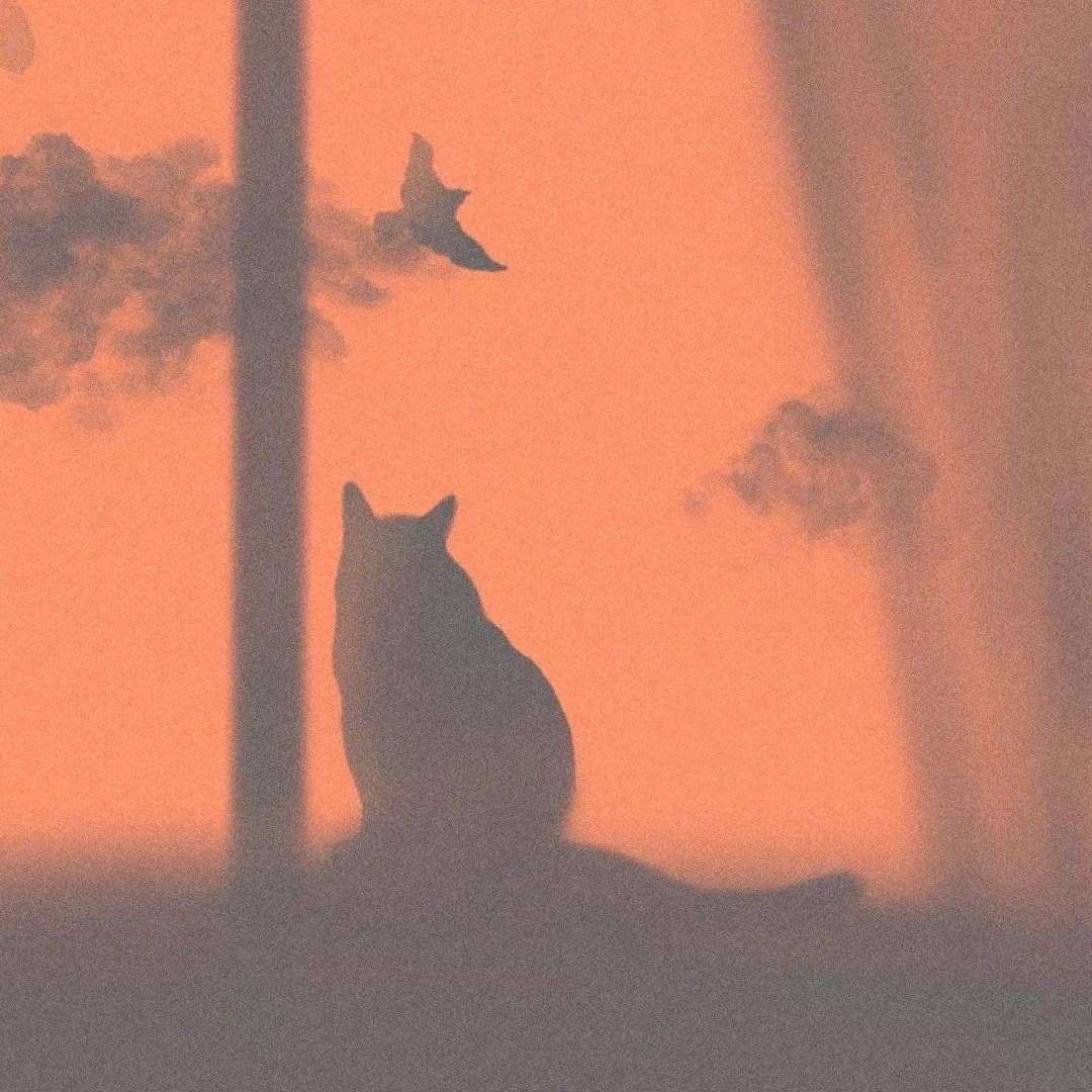 TTTTTX的专辑