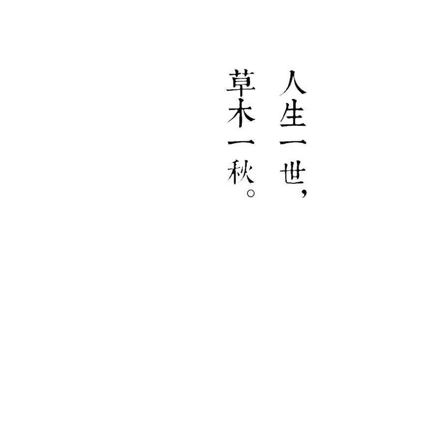 Ao的专辑