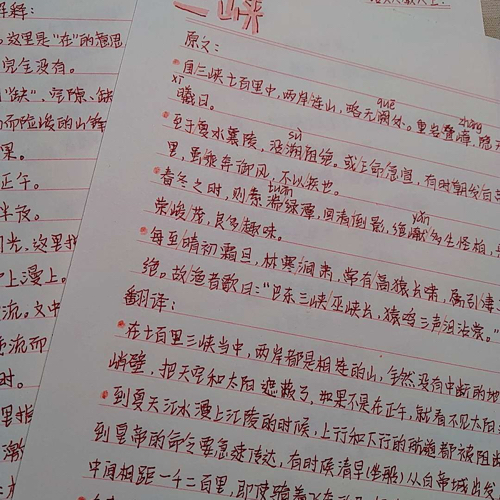 文学/作文