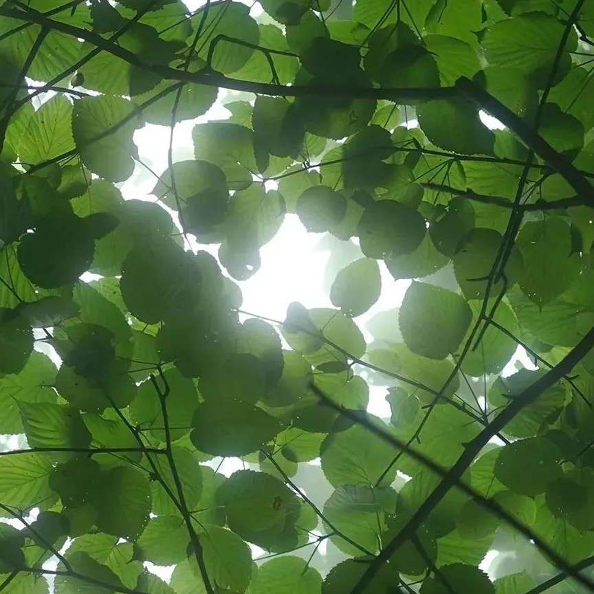 让风吹一吹吧
