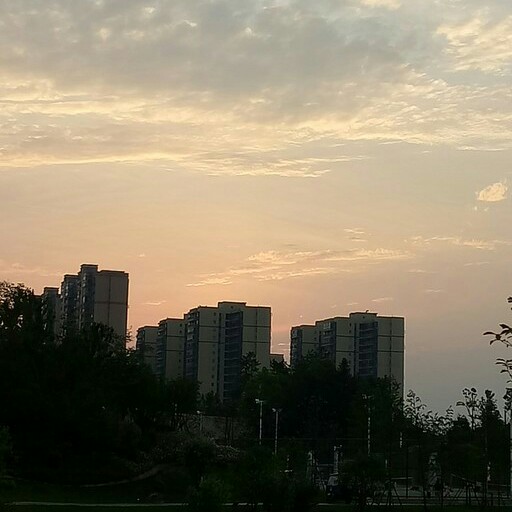 陈劲生