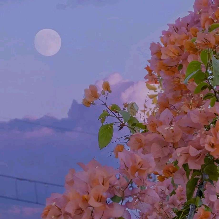 西街暖阳的专辑