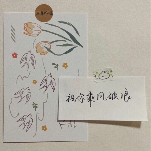 适合配音的文案