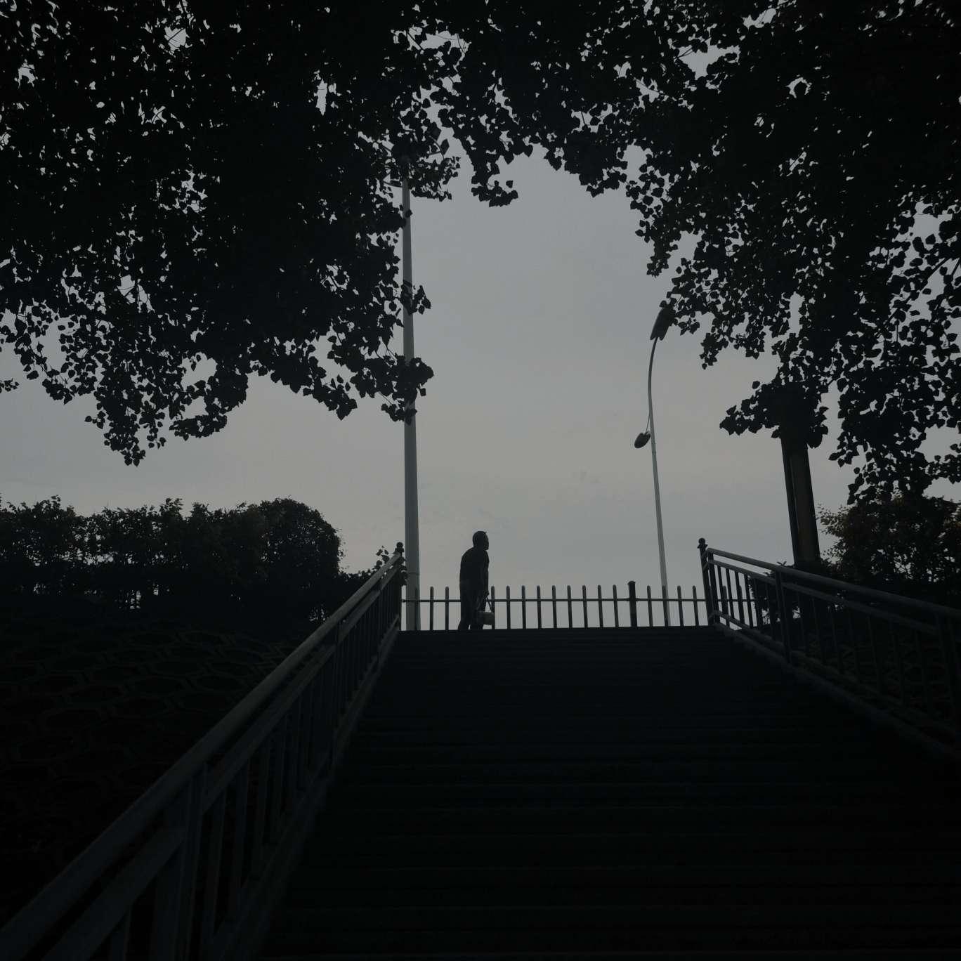 好句摘抄