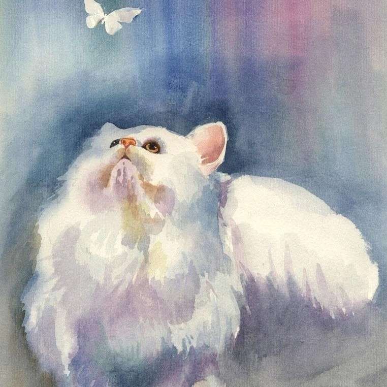 小说