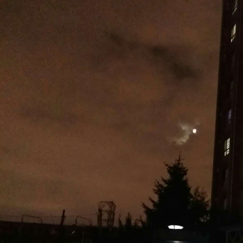 网易云