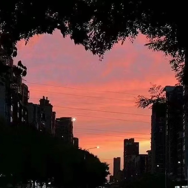 他们的爱情