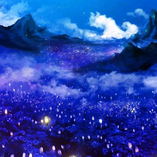 收藏