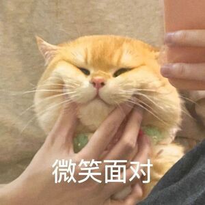 be美学