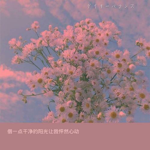 文案