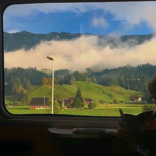 情感