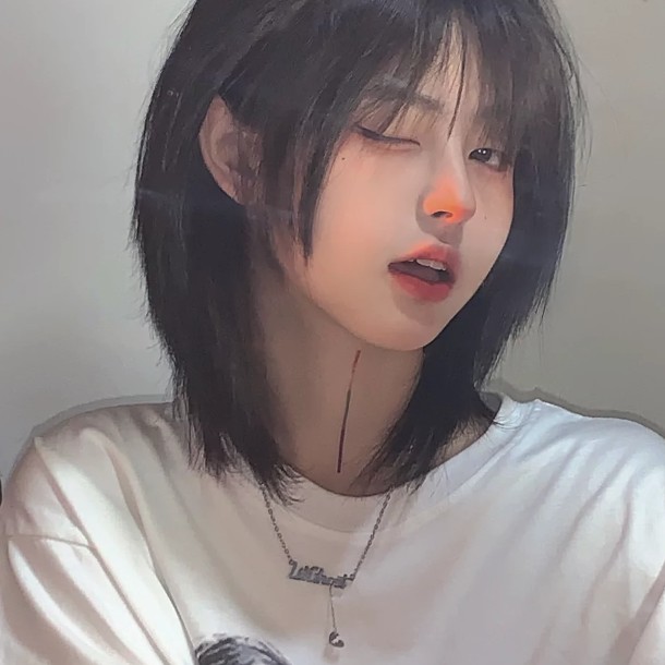摘录