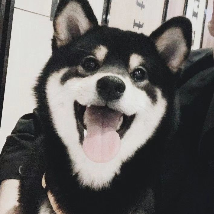 玄剑的专辑