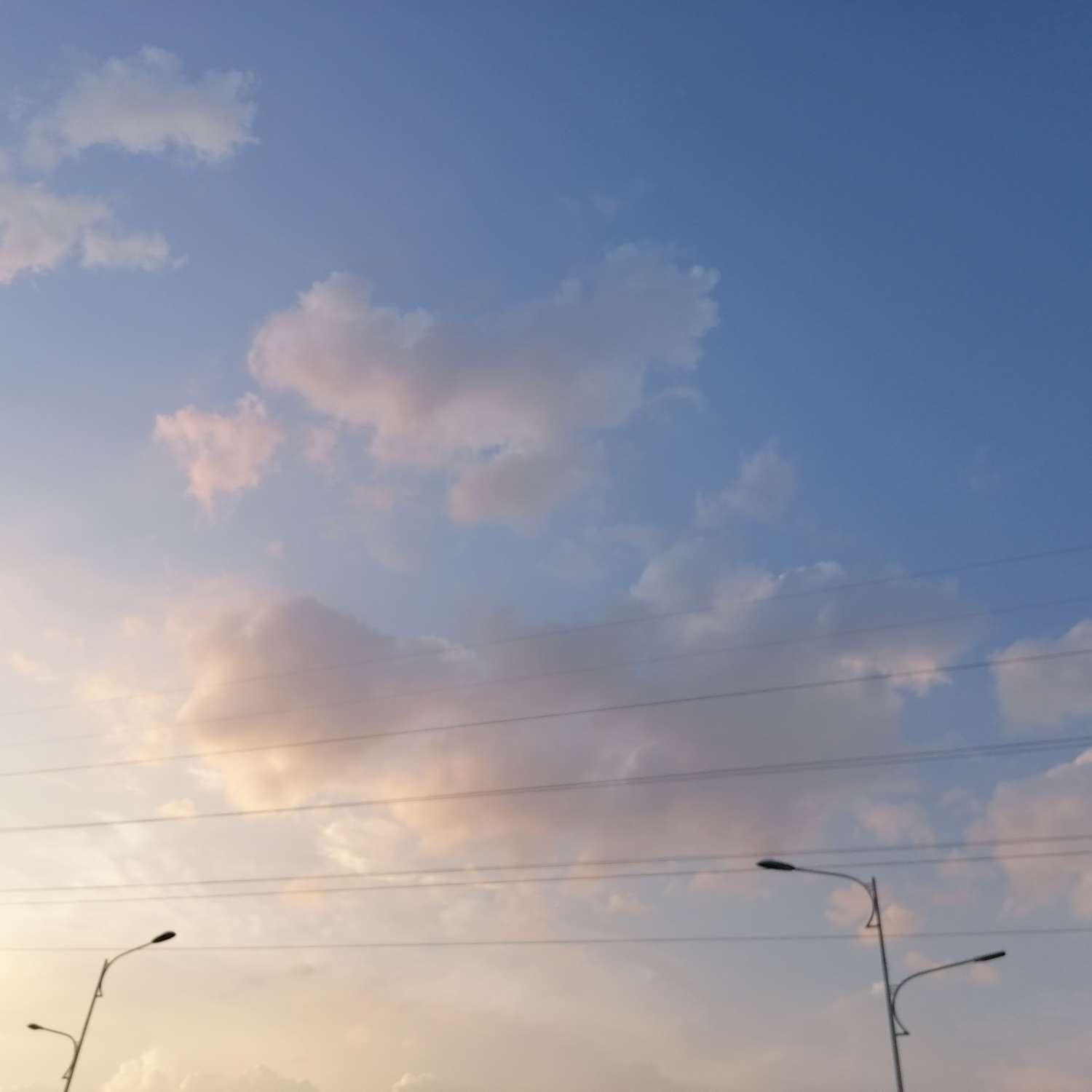手帐