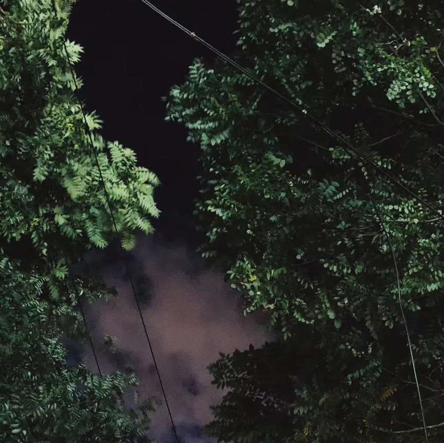 秋月