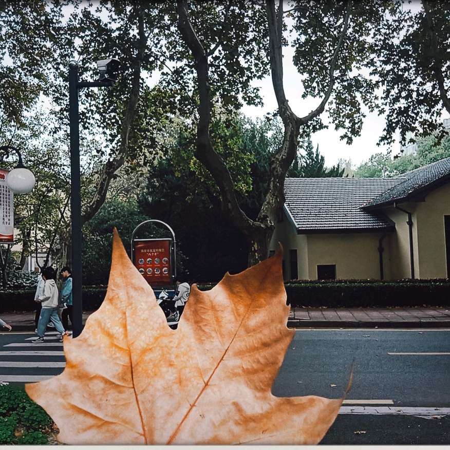 万物成诗