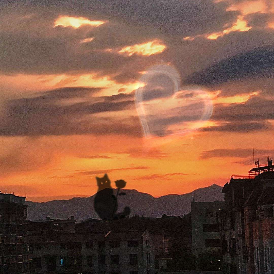 慕晓