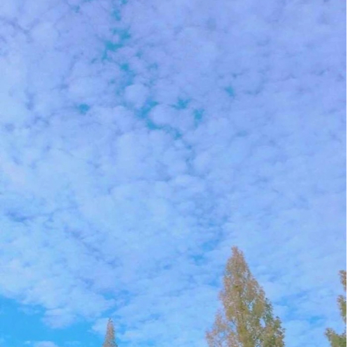 柔软