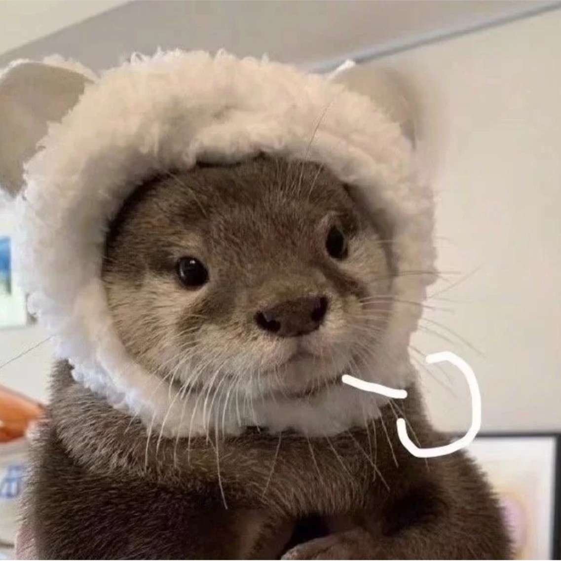伊_的专辑
