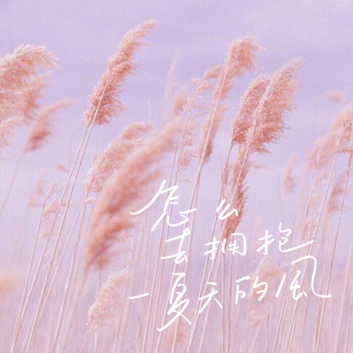 随笔