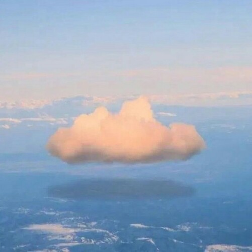 晨枫