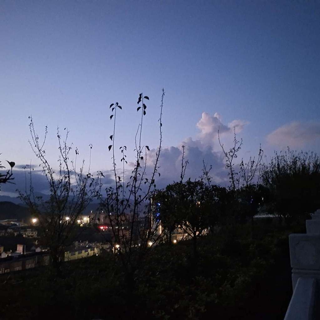 法学