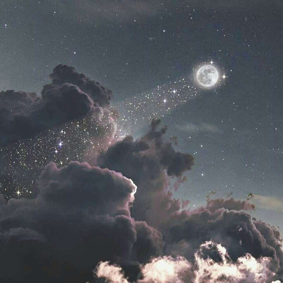 万物生辉月